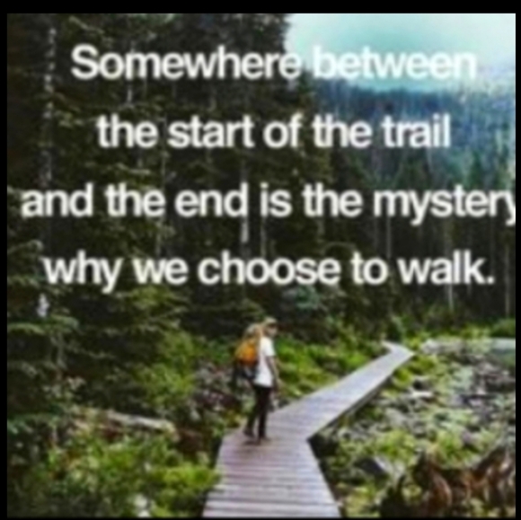 VINTAGE βPINOCCHIO β BOOK SUNBEAM CLASSICS - Picture 15 of 16